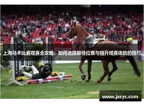 上海马术比赛观赛全攻略：如何选择最佳位置与提升观赛体验的技巧